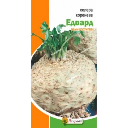 Северная корневая сельдерей Эдвард на упаковке семян