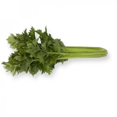 Свежий сельдерей на белом фоне - Килиан