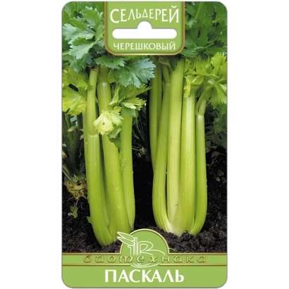 Семена сельдерея Паскаль на упаковке