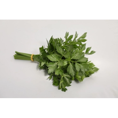 Свежий сельдерей на белом фоне - ПОТЕНЦИАЛ