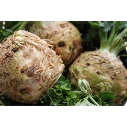 Сельдерей (Светоч) — свежие корнеплоды с зеленью