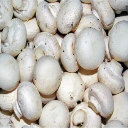 Свіжі шампіньйони на білому фоні - А 15