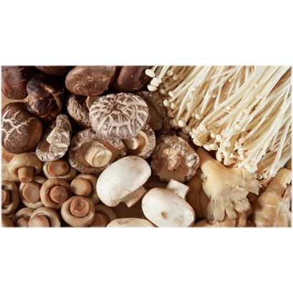 Fresh shiitake and enoki mushrooms in assortment - SHIITAKE 15