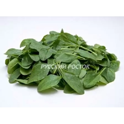 Свежий шпинат с надписью Русский росток - Anatase