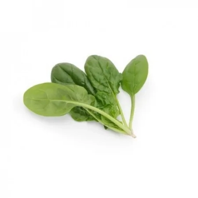 Fresh spinach leaves on a white background - GOANNA