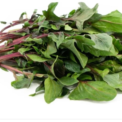 Свежий шпинат с красными черешками на белом фоне - Red Snapper