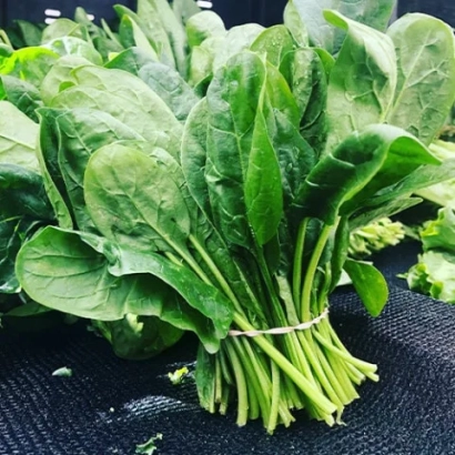 Свежий шпинат в пучке на темном фоне - Trombone