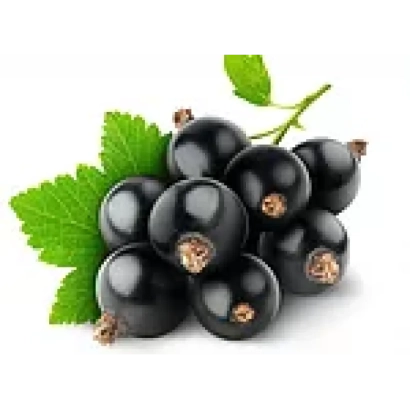 Черная смородина на белом фоне - Труженица