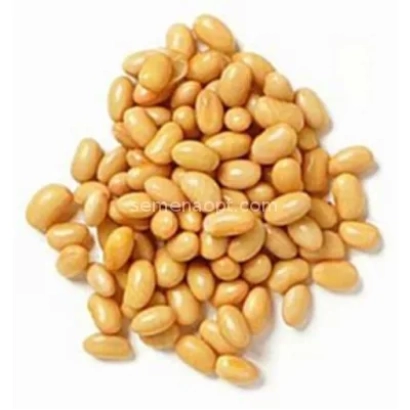 Кучка соевых бобов на белом фоне - Альтаир