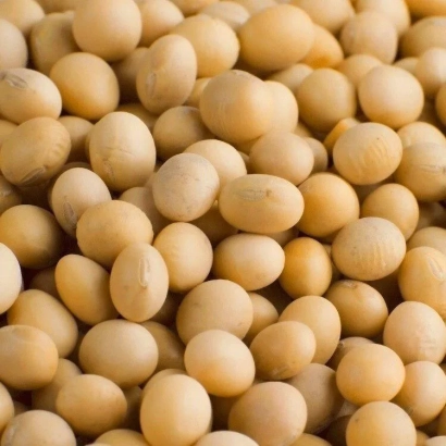 Соя - Алтона