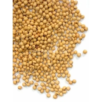 Желтые семена сои на белом фоне - ЯСЕЛЬДА