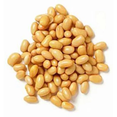 Кучка соевых бобов на белом фоне - Ятрань