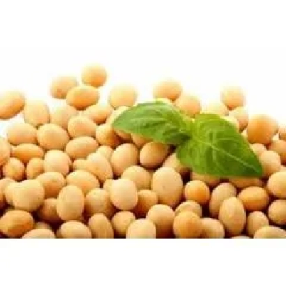 Соя на белом фоне с зеленым листом - Георгина