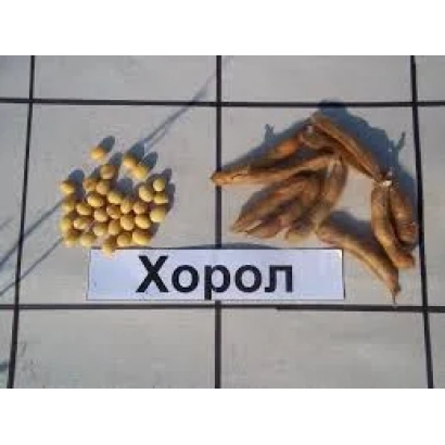 Фотография сои и стручков с надписью Хорол