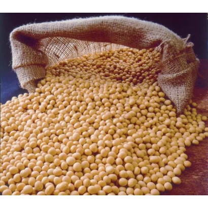 Мешок с соевыми зернами - Хуторяночка