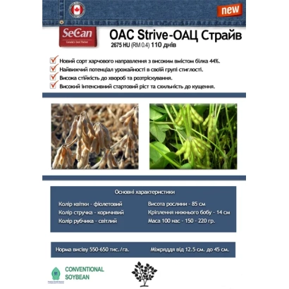 Упаковка насіння OAC Strive-ОАЦ Страйв з фото проростків та описом характеристик