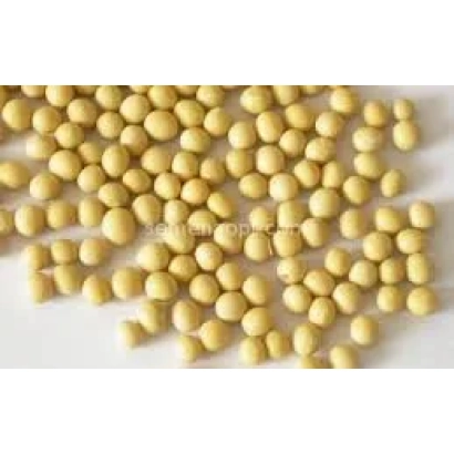 Соя в виде желтых зерен на белом фоне - ОРЕССА