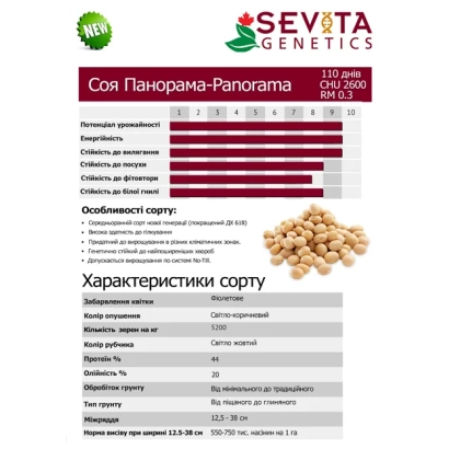 Соя Панорама-Panorama от Sevta Genetics