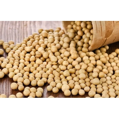 Соя в деревянном лотке - Полтава