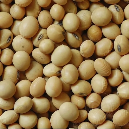 Соя на фоні - Романтика