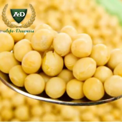 Соя на ложке с логотипом Альфа-Донская - Сяйво