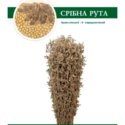 Срібна Рута — пакет семян сои с изображением зерен и соцветия - Срибна Рута