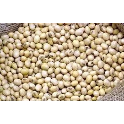 Соя на фоні мішка - ТА́НАЇС