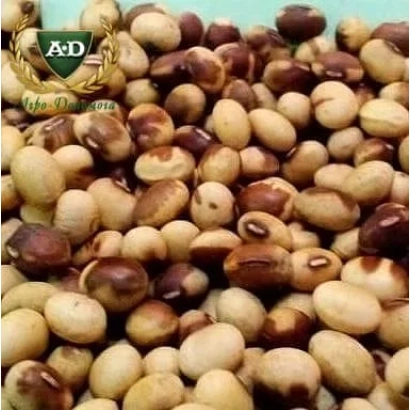 Фотография соевых зерен с логотипом A&D в верхнем левом углу. - Вильшанка