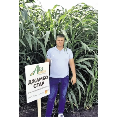 Человек стоит рядом с табличкой с надписью ДЖАМБО СТАР на фоне сорго