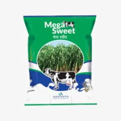 Пакет семян сорта Mega Sweet с изображением сахарного тростника и коров - Мега Свит