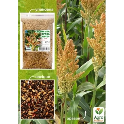 Пакет с семенами сорта МСС 1 на фоне сорго