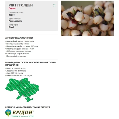 Пакет семян РЖТ ГГОЛДЕН с фото зерен и логотипом