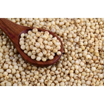 Детальне зображення зерен сорго на дерев'яній ложці - РЖТ ГГИВРИ