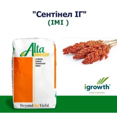 Мешок семян сорта Сентинел ИГ от Alta Seeds