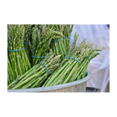 Свежая спаржа в металлической корзине - БАКЛИМ