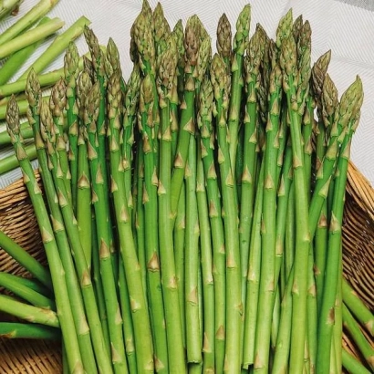Fresh asparagus in a basket - Royal