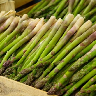 Fresh asparagus in a wooden crate - GUELF ECLIPSE