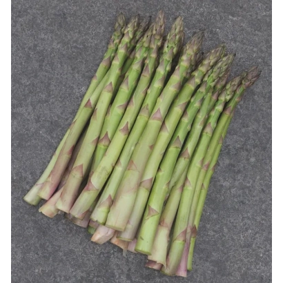 Свежая спаржа на сером фоне - КАНТИКУС