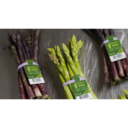 Bundles of asparagus with XENOLIM label