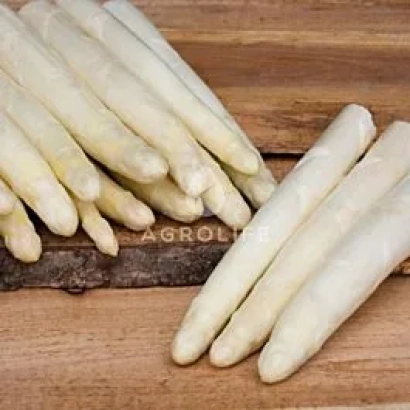 Белая спаржа на деревянной доске - СИГНУС