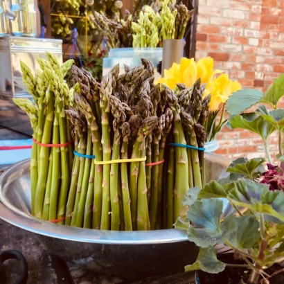 Свежая спаржа на металлическом подносе с цветными резинками - ВАЛЬДАУ