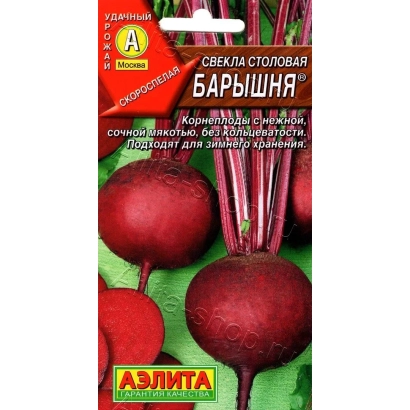 Seed packet of table beet BARYSNYA with image of red root vegetables