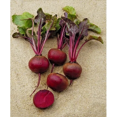 Fresh beets with green tops on a light background - Camaro