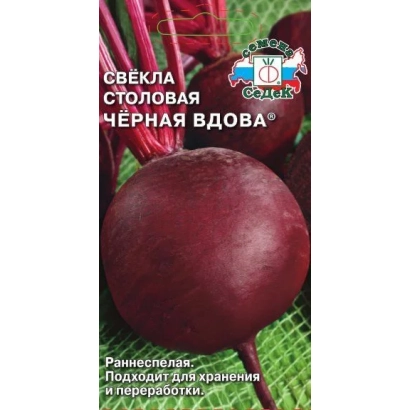 Свекла столовая Чёрная Вдова на зелёном фоне - ЧЕРНАЯ ВДОВА