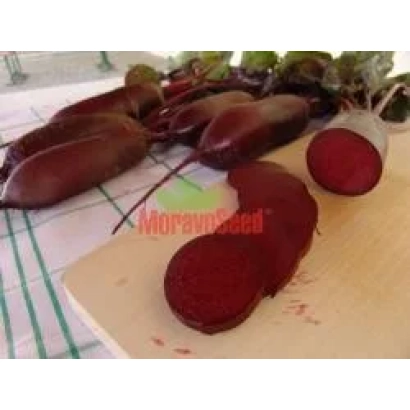 Свекла сорта Цитадела на деревянной доске с нарезанным ломтиком, бренд MoravoSeed