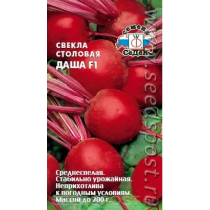 Seed bag of table beet Dasha F1 with image of fresh root vegetables