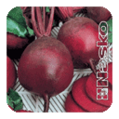 Beetroot roots of variety EFIOPO on wooden pallet