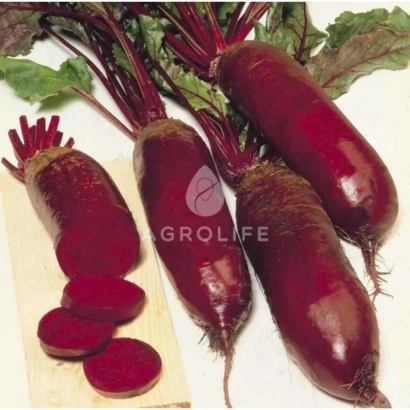 Свекольные корнеплоды с листьями и нарезанными кружочками на деревянной доске, бренд GROLIFE - Фороно