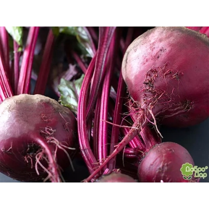 Свекольные клубни Гопак на темном фоне