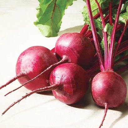 Свекольные корнеплоды сорта Кадет на светлом фоне